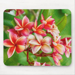 Tapis De Souris Belles fleurs de la Plumeria