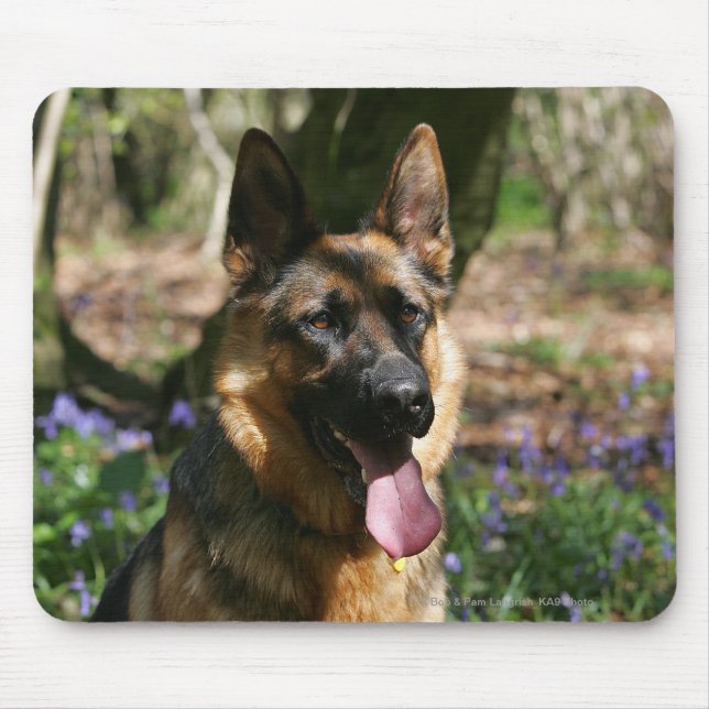 Tapis De Souris Berger allemand (Devant)