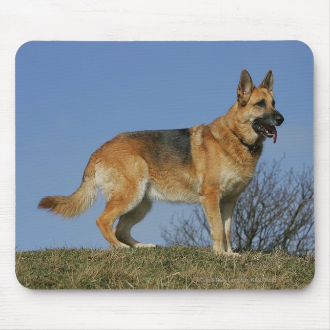 Tapis De Souris Berger allemand aux cheveux longs Brown 2 (Devant)