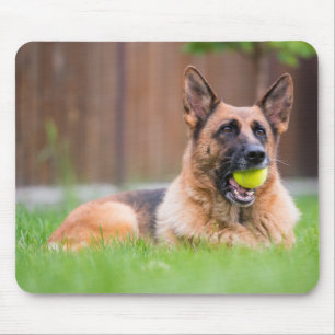 Tapis De Souris Berger Allemand Avec Bal De Tennis
