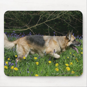 Tapis De Souris Berger allemand en fleurs jaunes