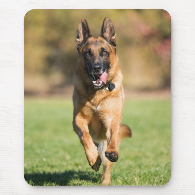 Tapis De Souris Berger allemand en marche (Devant)