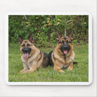 Tapis De Souris Bergers allemands