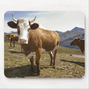 Tapis De Souris Bétail