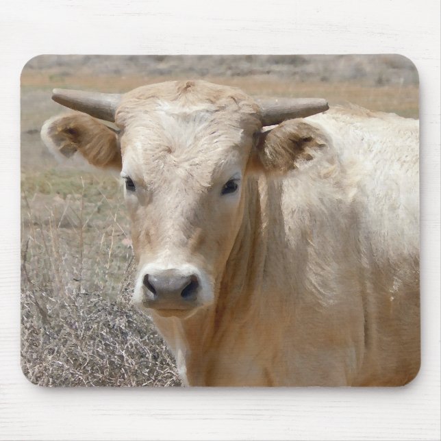 Tapis De Souris Bétail blancs du charolais de grands yeux - (Devant)