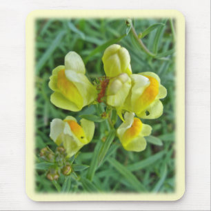 Tapis De Souris Beurre 'n OEufs Fleur sauvage de coordination élém