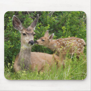 Tapis De Souris Biche de cerf mulet avec faon