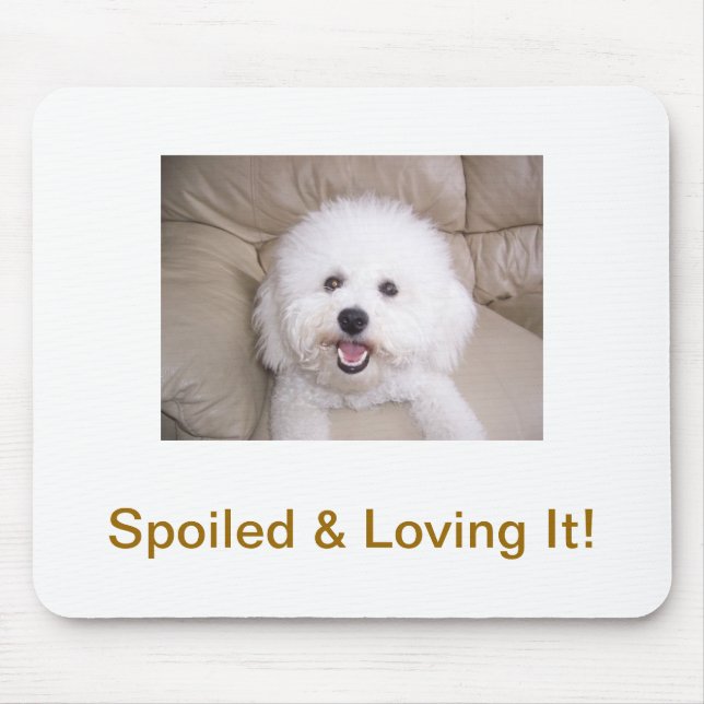 Tapis De Souris Bichon Frise (Devant)