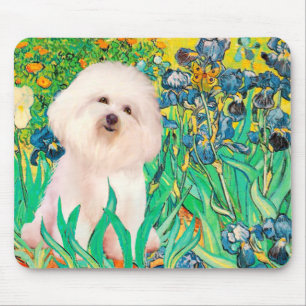Tapis De Souris Bichon Frise 4  - Iris
