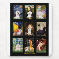 Bichon Frise Composite