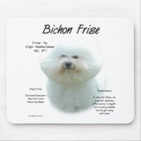 Bichon Frise Histoire; Tout sur Bichon Frise