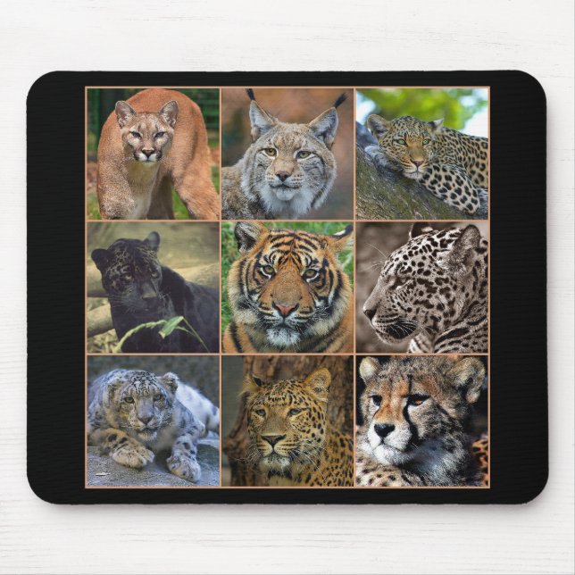 Tapis De Souris Big cats (Devant)