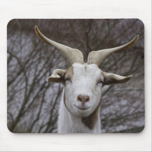 Tapis De Souris Billy Goat