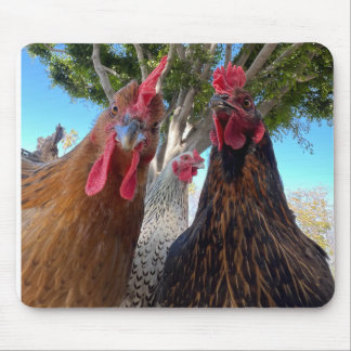 Tapis De Souris Birds with Attitude Mouse Pad