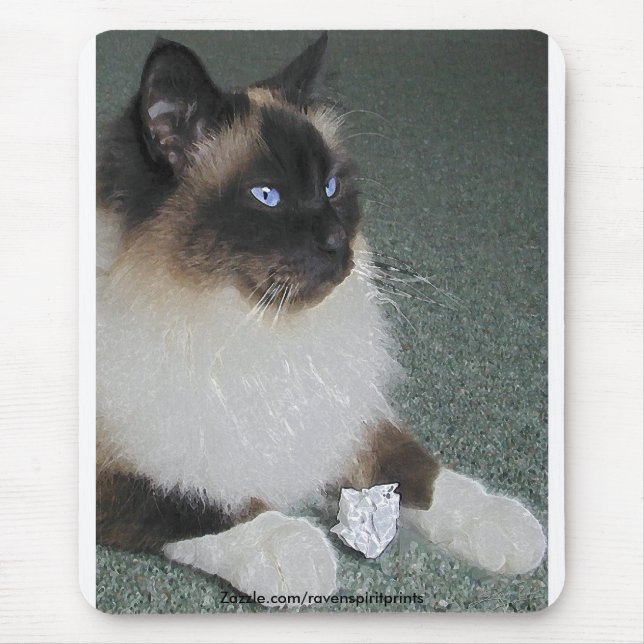 Tapis De Souris BIRMAN - RAGDOLL CAT Mousepad (Devant)
