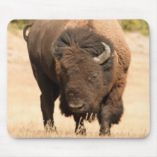 Tapis De Souris Bison (Devant)
