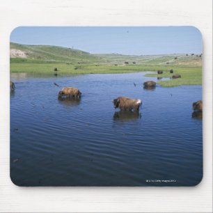 Tapis De Souris Bison Dans L'Eau Avec De Nombreuses Hirondelles De