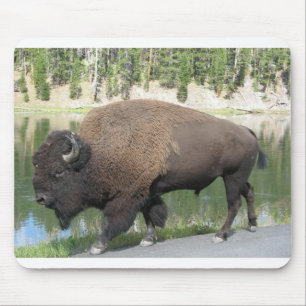 Tapis De Souris Bison de Yellowstone