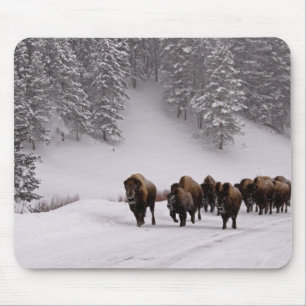 Tapis De Souris Bison en hiver