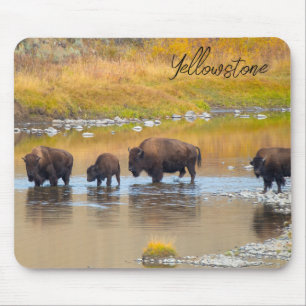 Tapis De Souris Bison River Crossing Parc national de Yellowstone