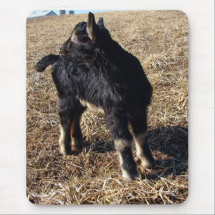 Tapis De Souris Black and Tan Kid