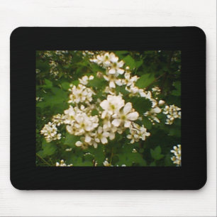 Tapis De Souris Blackberry Blossom