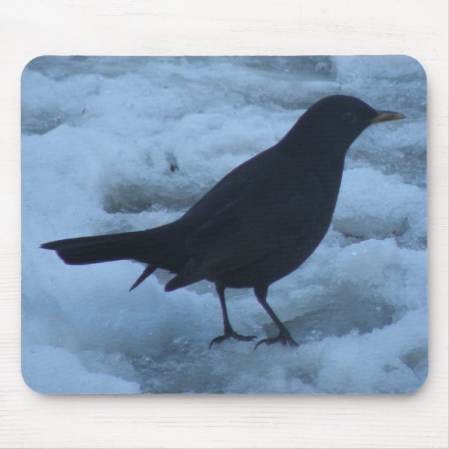 Tapis De Souris Blackbird sur la glace Mousepad (Devant)