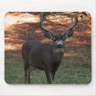 Tapis De Souris Blacktail Buck Mousepad