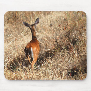 Tapis De Souris Blacktail Deer