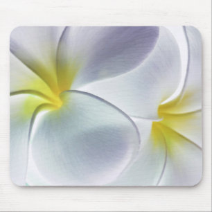 Tapis De Souris Blanc customisé par fleur d'Hawaï de Frangipani
