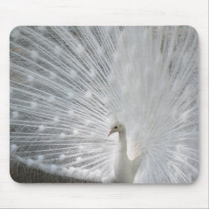 Tapis de souris blanc de paon