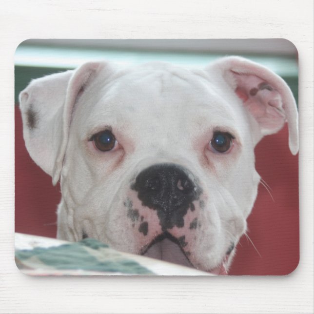 Tapis de souris blanc de photo de chien de boxeur (Devant)