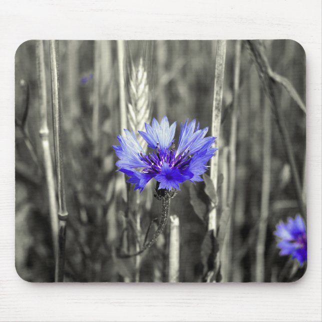 Tapis De Souris Blaue Kornblume (Devant)