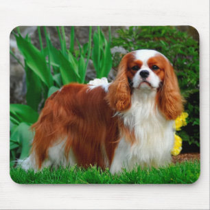 Tapis De Souris Blenheim Cavalier King Charles Spaniel Chien Chien