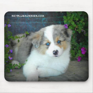 Tapis de souris bleu de chiot de Merle
