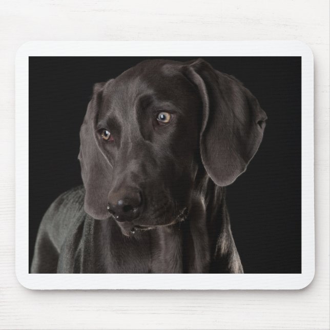 Tapis De Souris Bleu le Weimaraner (Devant)