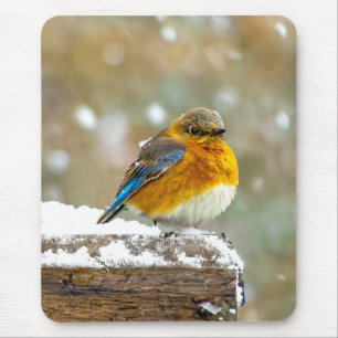 Tapis De Souris Bleuet de l'Est en neige - Photo originale