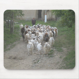 Tapis De Souris Bloc souris