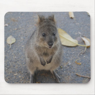 Tapis De Souris Bloc souris Quokka