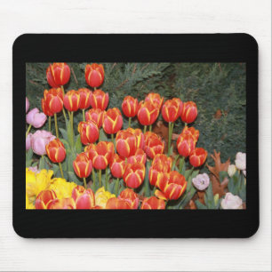 Tapis De Souris Bloomin' Tulips !