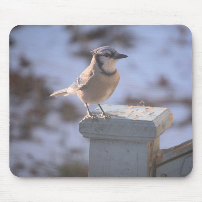 Tapis De Souris Blue Jay (Devant)