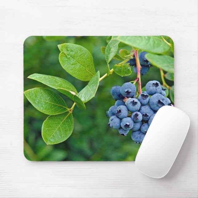 Tapis De Souris Blueberries Sur Bush (Avec souris)