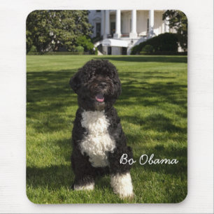 Tapis De Souris Bo Obama