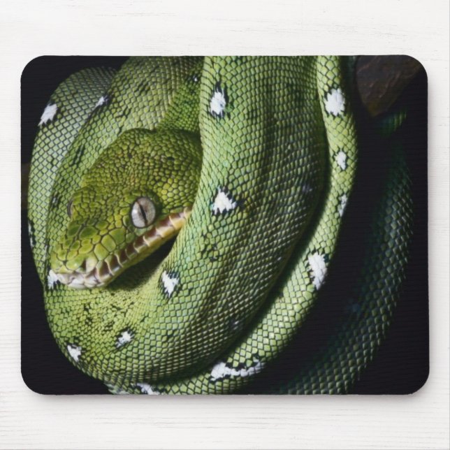 Tapis De Souris Boa vert de serpent vert d'arbre en Bolivie (Devant)