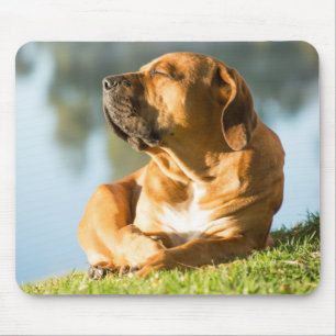 Tapis De Souris Boerbol Gel Pad Souris