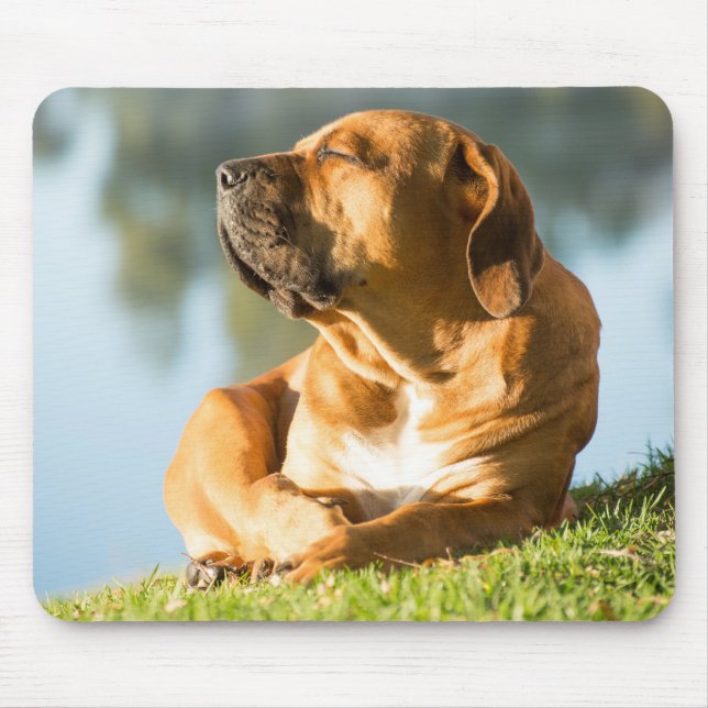 Tapis De Souris Boerbol Gel Pad Souris (Devant)