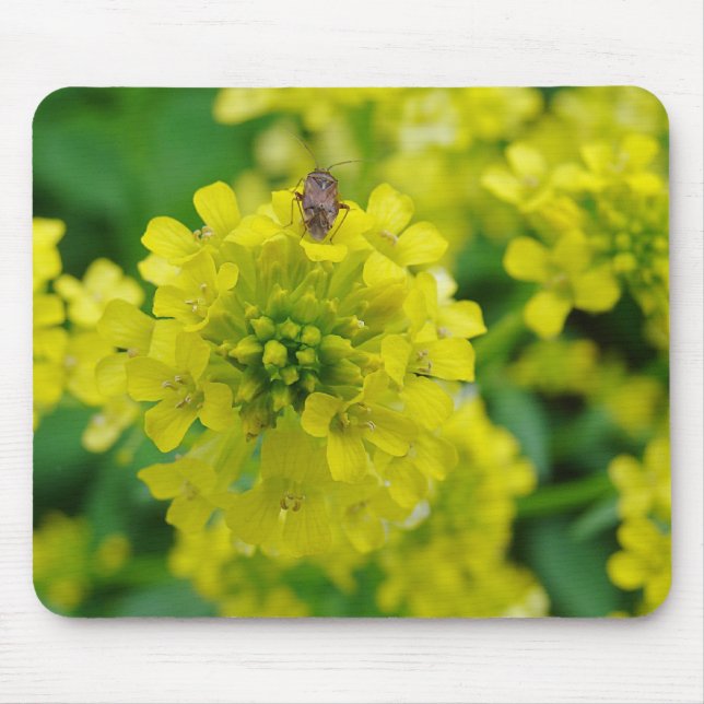 Tapis De Souris Bogue sur la fleur (Devant)
