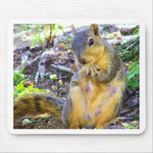 Tapis De Souris Bonjour_