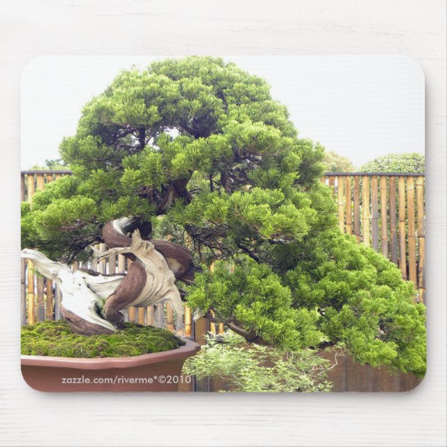 Tapis De Souris Bonsaïs/paysage mis en pot chinois (Devant)
