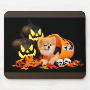 Tapis de souris - Booella Pomeranian